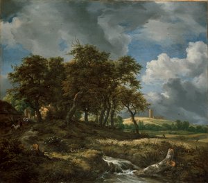 Landschap bij Muiderberg, begin 1650 door Jacob van Ruisdael