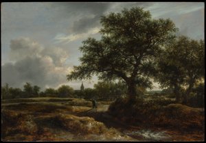 Landschap met een dorp in de verte