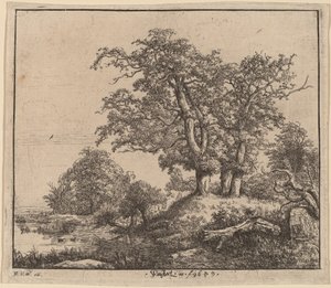 De drie eiken door Jacob van Ruisdael