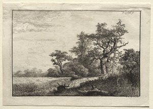 Het korenveld