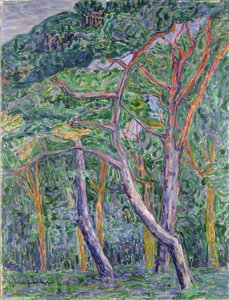 Pijnbomen door Jacoba van Heemskerck