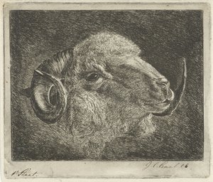 Kop van een ram met naar achteren gedraaide hoorns door Jacobus Cornelis Gaal (signed by artist)