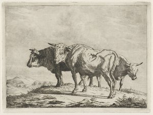 Drie ossen door Jacobus Cornelis Gaal