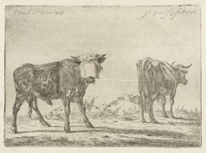 Geblinddoekte stier bij kudde runderen door Jacobus Cornelis Gaal