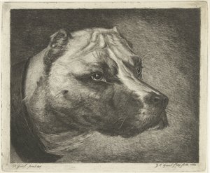 Hondekop met halsband door Jacobus Cornelis Gaal
