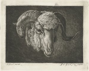 Kop van een ram met kromme horens door Jacobus Cornelis Gaal