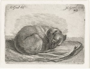 Slapende hond, liggend op een deken door Jacobus Cornelis Gaal