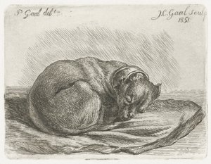 Slapende hond, liggend op een deken door Jacobus Cornelis Gaal