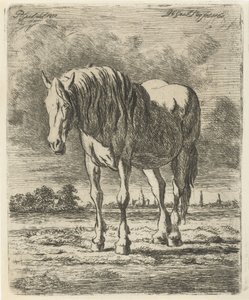 Staand wit paard door Jacobus Cornelis Gaal