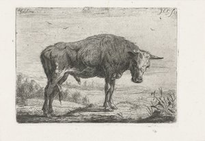 Staande stier door Jacobus Cornelis Gaal