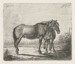 Twee paarden