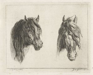 Twee paardenhoofden