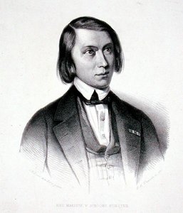Portret van Josephus Hermanus Verhulst (1816-91)