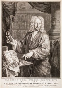  door Jacobus Houbraken