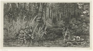 Bosbeekje door Jacobus Ludovicus Cornet