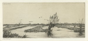 Veenplas door Jacobus Ludovicus Cornet