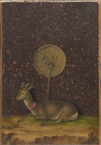 Portret van Alvise Contarini(); (verso) Een vastgebonden Roebuck