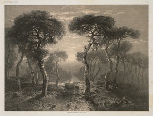 Oeuvres de A. Calame, No. 13: Forêt de Sierre en Valais