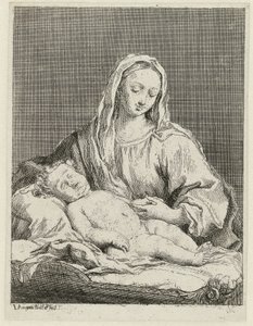 Maria met kind door Jacopo Amigoni