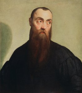 Portret van een man met baard door Jacopo Bassano