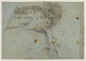 Studie van een gekruisigde Christus