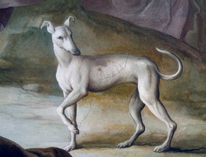Hond, detail uit fresco door Jacopo Guarana (1720-1808), centrale hal van Villa Contarini, Valnogaredo, Veneto, Italië door Jacopo Guarana