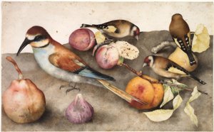 Stilleven met Vogels en Fruit, c. 1650