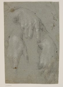 Drie studies van een rechterhand door Jacopo Palma