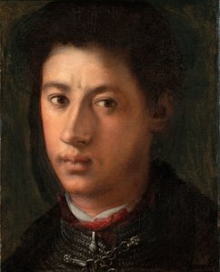 Portret van Alessandro de Medici 1510-1537, 1534-1535