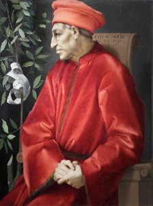 Portret van Cosimo de Oude de Medici door Jacopo Pontormo