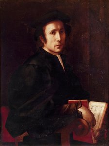 Portret van Musicus Schilderij van Jacopo Carrucci, bekend als il Pontormo (1494-1556) 1518-1519 Florence, Galleria degli Uffizi door Jacopo Pontormo