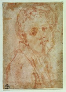Zelfportret door Jacopo Pontormo