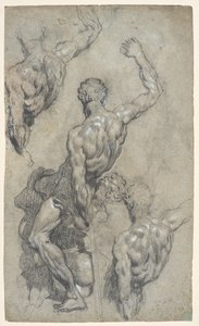 Studies van Michelangelo