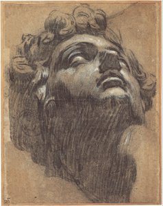 Hoofd van Giuliano de Medici 1479-1516, 1540s door Jacopo Robusti Tintoretto