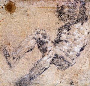 Studie van mannelijk naakt