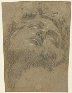 Hoofd van Giuliano dei Medici