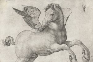 Pegasus, 1509-16 door Jacopo de Barbari