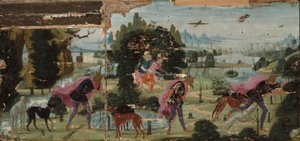 Actaeon veranderd in een hert