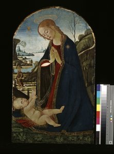Madonna die het Christuskind aanbidt door Jacopo del Sellaio