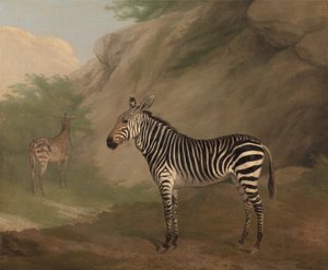 Zebra door Jacques-Laurent Agasse