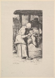 Schapenscheren, 1853