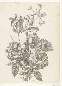 Boeket met pioenrozen, een tulp en een brodiaea