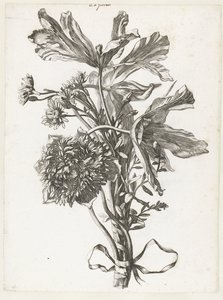 Boeket met uitgebloeide tulpen, een anemoon en immortellen