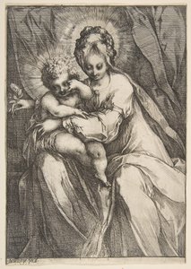 Madonna met een Roos
