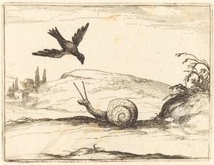Kraai en slak door Jacques Callot