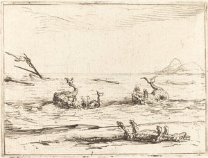 Dolfijnen en krokodil