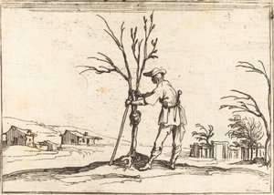 Tuinman die een boom snoeit