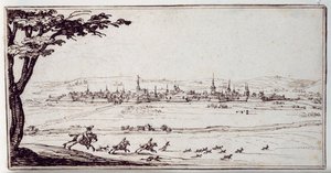 Nancy in de verte: hazewindhonden achtervolgen een haas