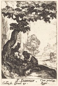 Sint Johannes de Doper