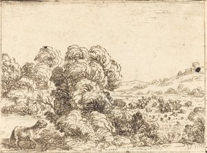Schaap Roept Lam door Jacques Callot